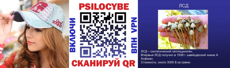 Псилоцибиновые грибы MAGIC MUSHROOMS Ветлуга