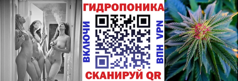 Каннабис индика  закладка  Ветлуга 